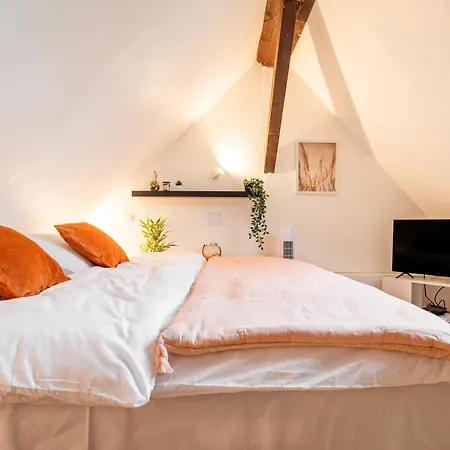 Nid Cosy Au Centre Ville, Vue Magique Cathedrale Апартаменты *